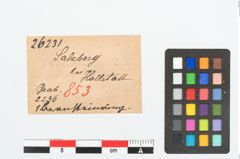 Etikett zu Bernsteinringperle (NHMW-PRAE-026231)